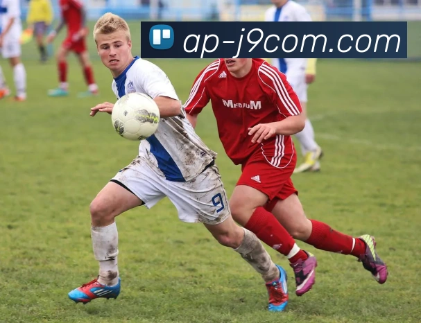 J9COM公司官网平台生态图